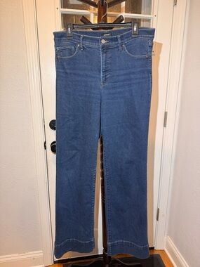 Express Wide Leg Jeans in Dark Blue Wash